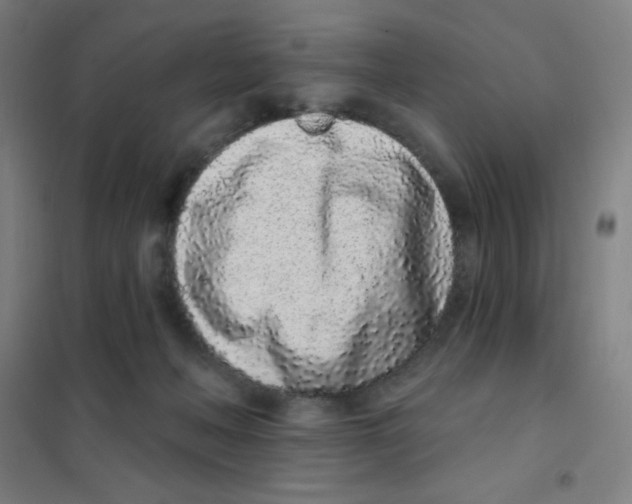 X0000101420222200808041136