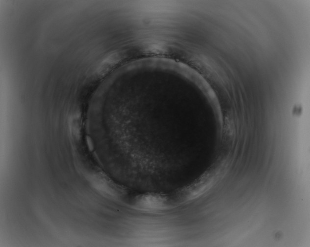 X0000101420223200808041136