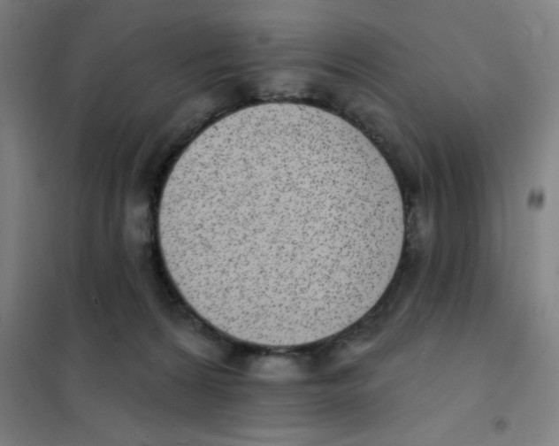 X0000101420224200808041135