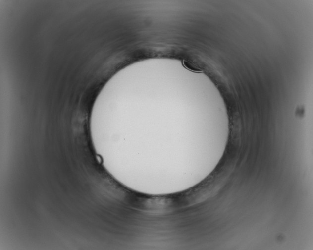 X0000101420225200808041135