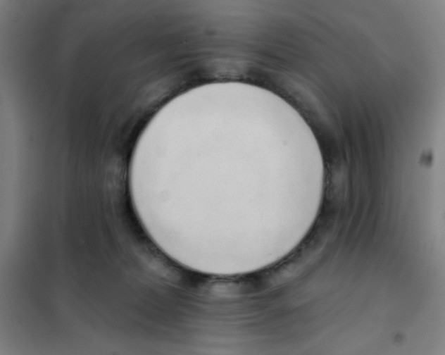 X0000101420228200808041135