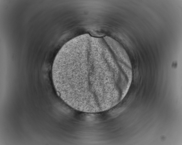 X0000101420229200808041135