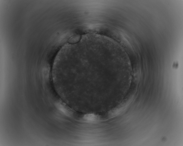 X0000101420231200808041135