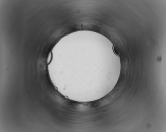 X0000101420232200808041135