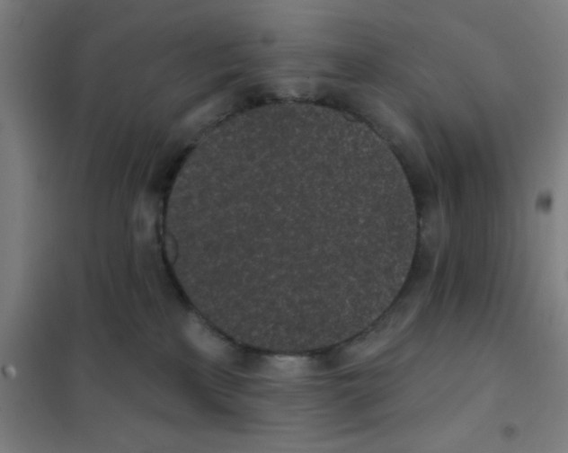 X0000101420233200808041135
