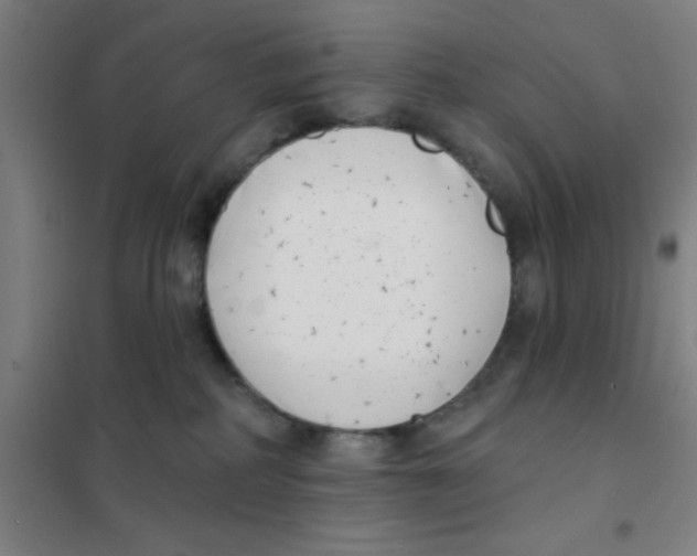 X0000101420234200808041135