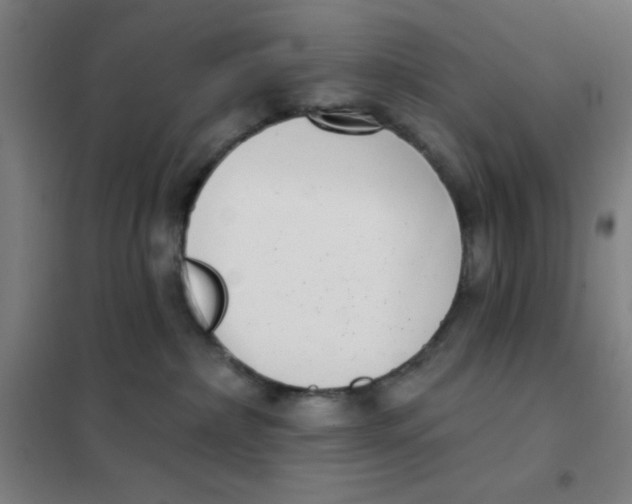 X0000101420236200808041135