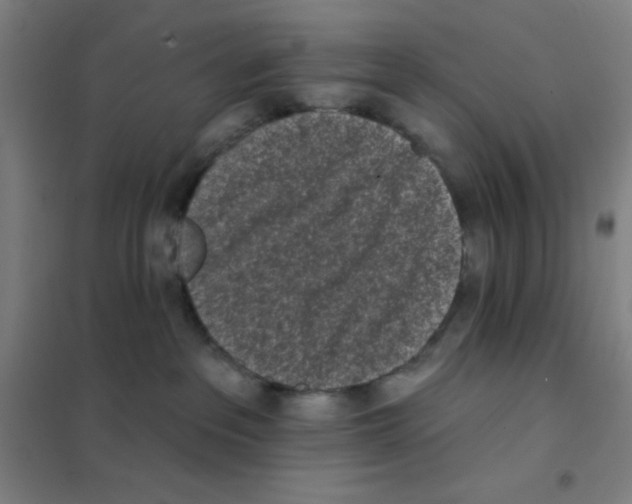 X0000101420237200808041135