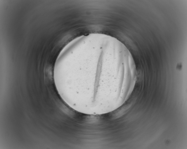 X0000101420238200808041135