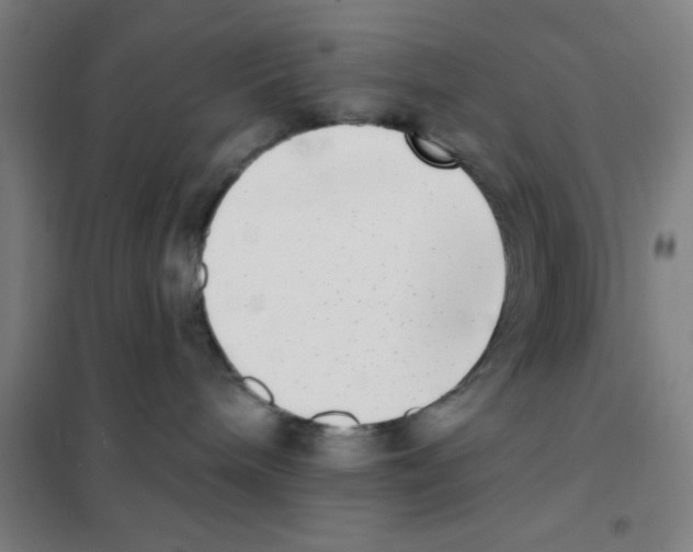 X0000101420240200808041135