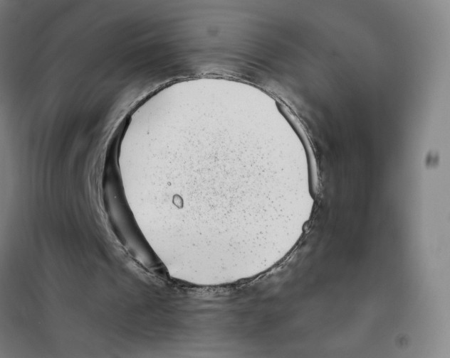 X0000101420241200808041134