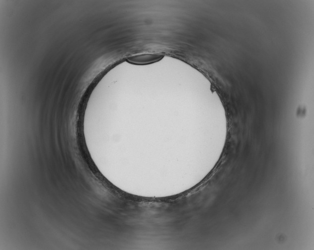 X0000101420242200808041134