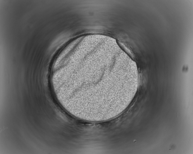 X0000101420243200808041134