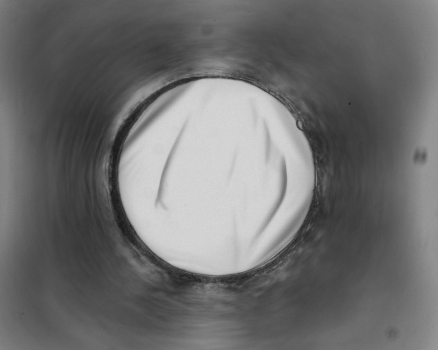 X0000101420244200808041134