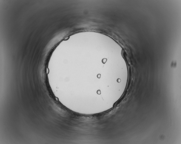 X0000101420245200808041134