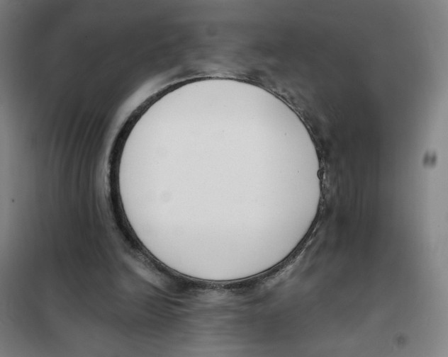 X0000101420246200808041134