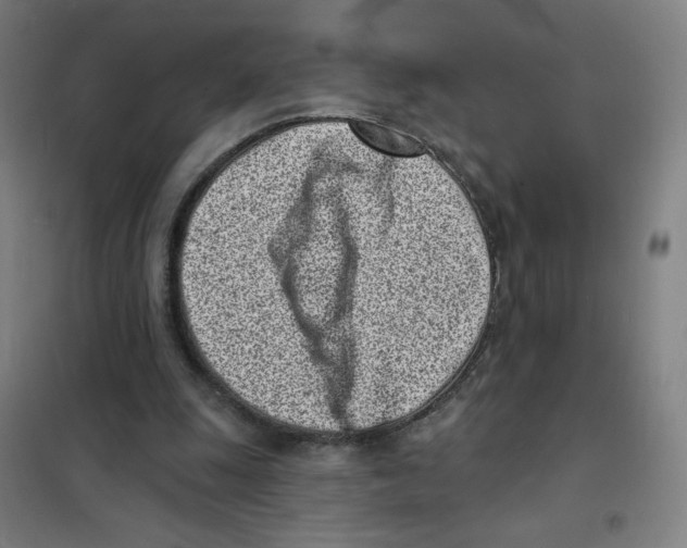 X0000101420247200808041134