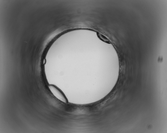 X0000101420248200808041135