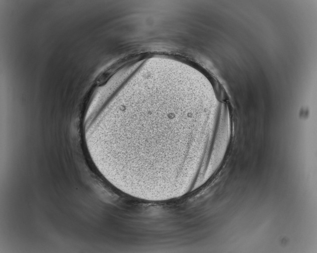 X0000101420249200808041135