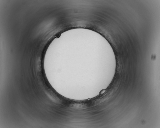 X0000101420251200808041135