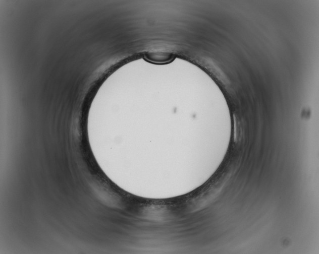 X0000101420252200808041135