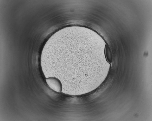X0000101420253200808041135