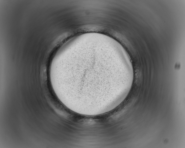X0000101420254200808041135