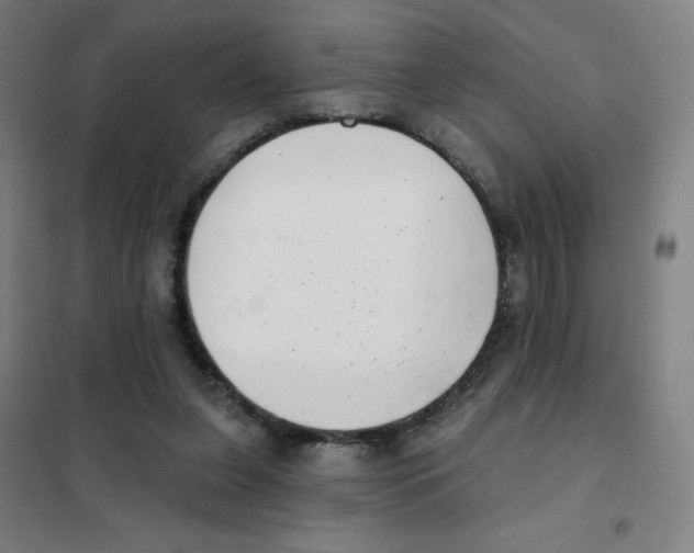 X0000101420255200808041135