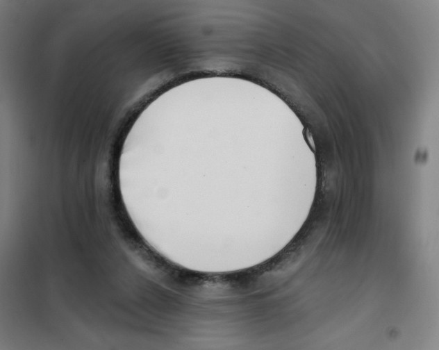 X0000101420256200808041135