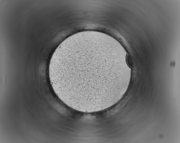 X0000101420257200808041135