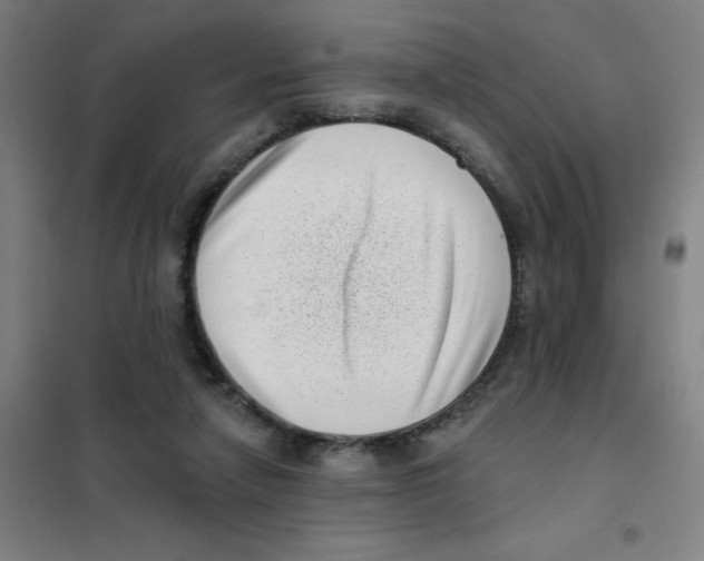 X0000101420258200808041135
