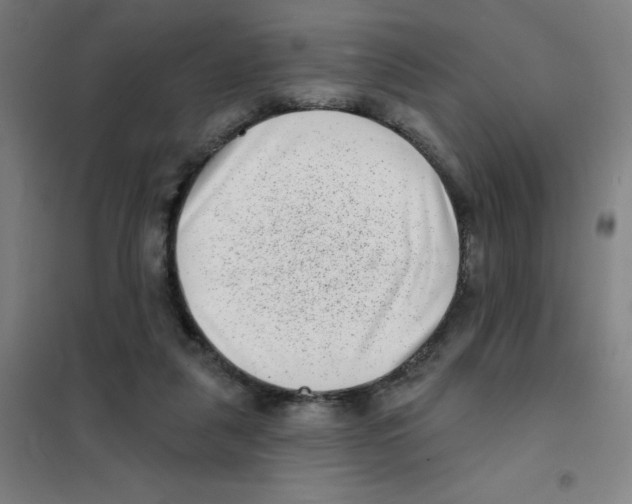 X0000101420259200808041135