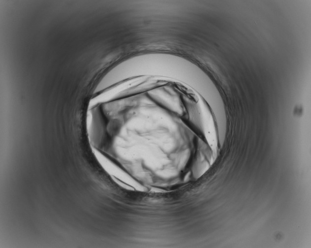 X0000101420260200808041135