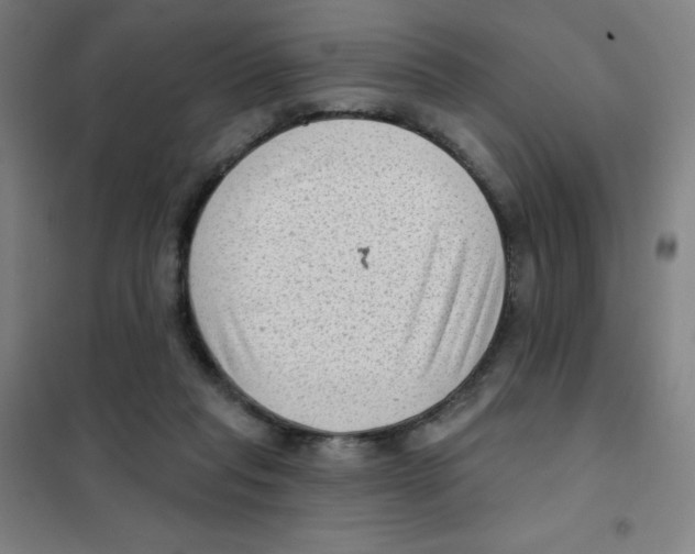 X0000101420261200808041135