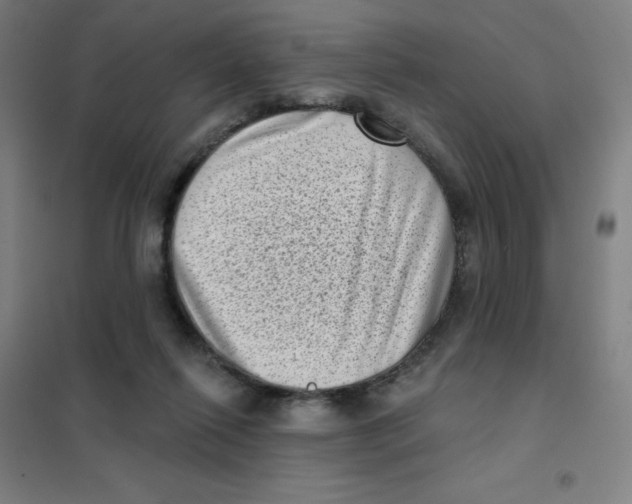 X0000101420262200808041135