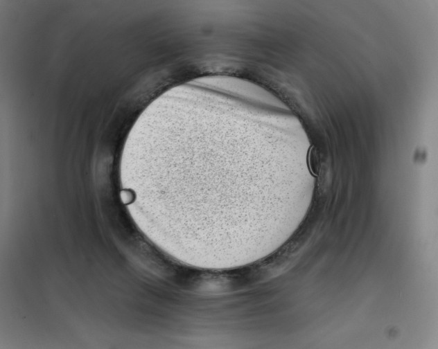 X0000101420263200808041135