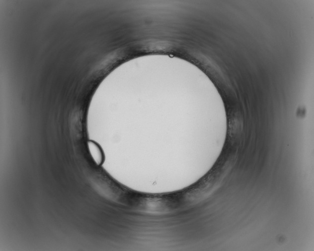 X0000101420264200808041135