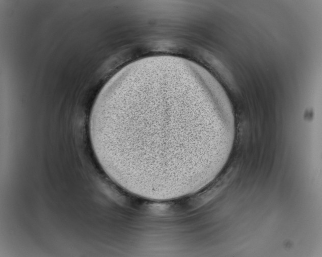 X0000101420265200808041135
