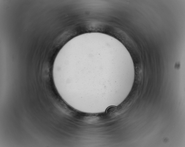 X0000101420266200808041135