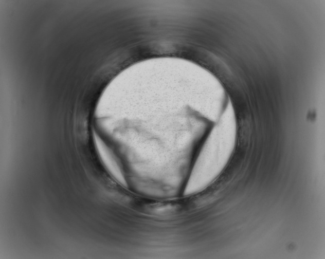 X0000101420267200808041135