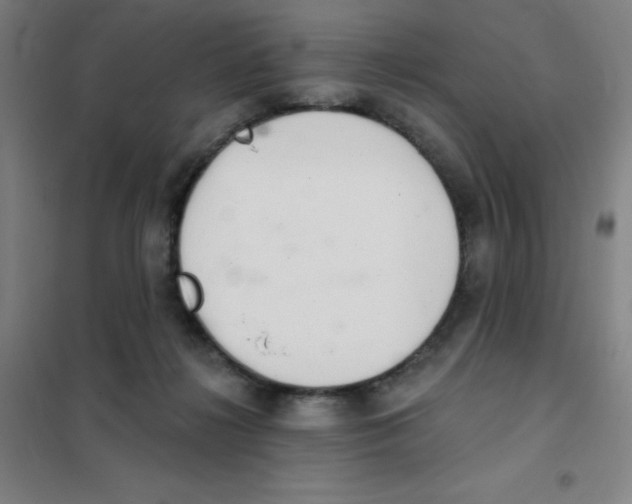 X0000101420268200808041135