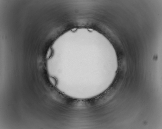 X0000101420272200808041135