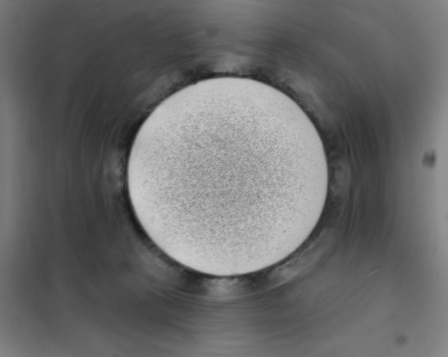 X0000101420273200808041135