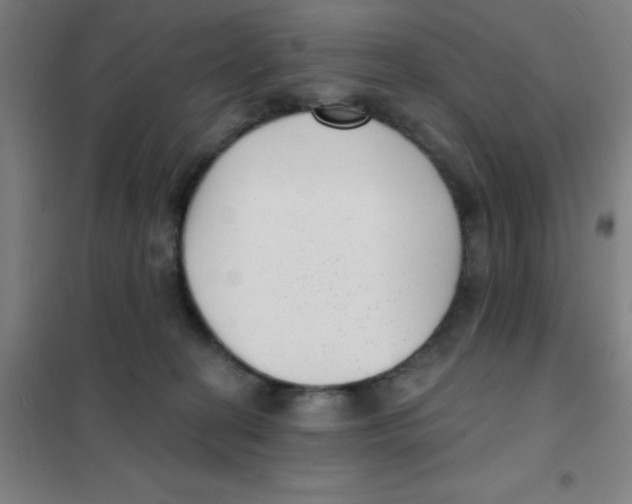 X0000101420274200808041135