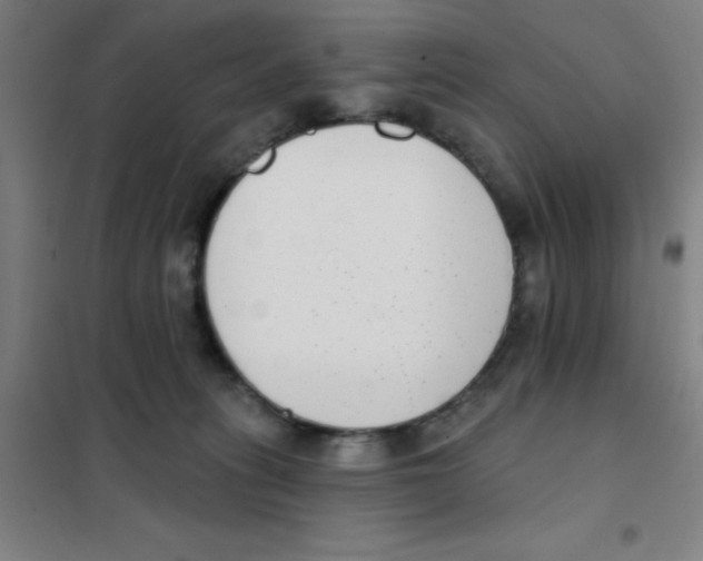 X0000101420275200808041135