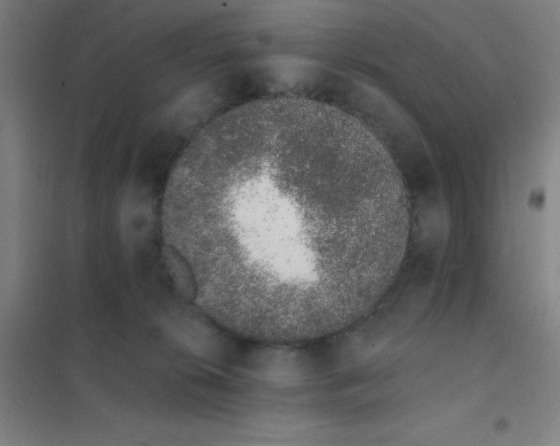 X0000101420276200808041135