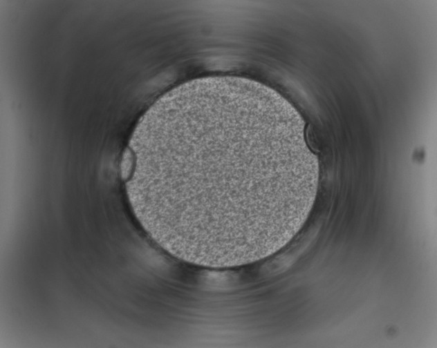 X0000101420277200808041135