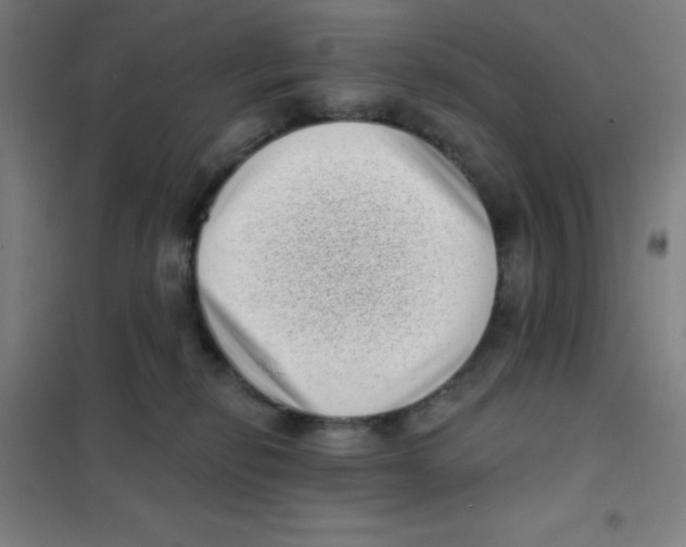 X0000101420278200808041135