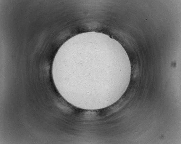 X0000101420279200808041135