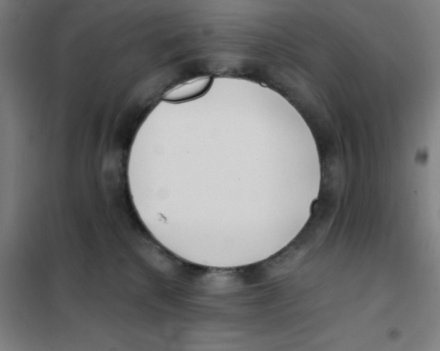 X0000101420280200808041135